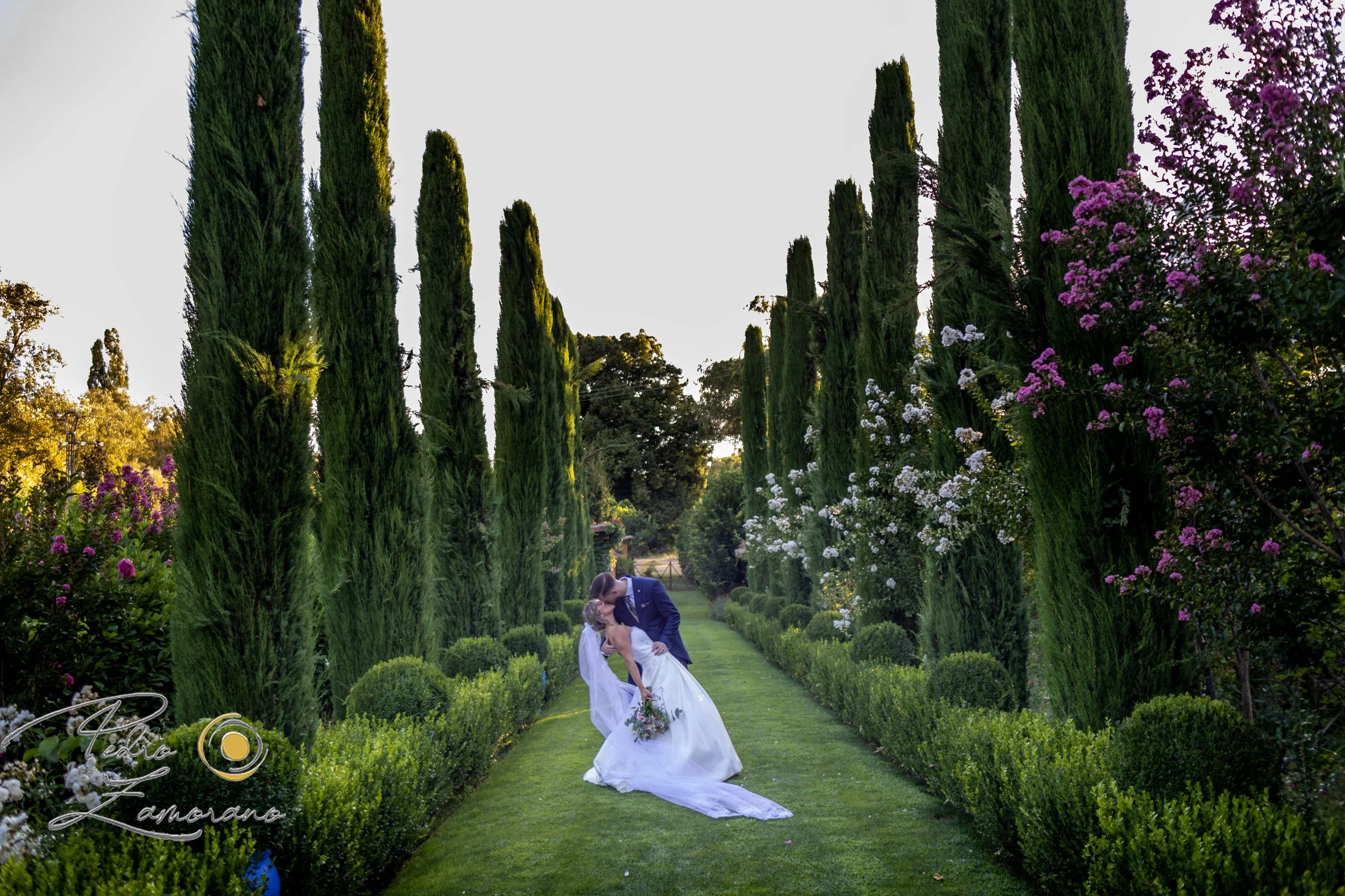 Los novios se besan en la avenida principal de cipreses de Antigua Fábrica de Harinas.