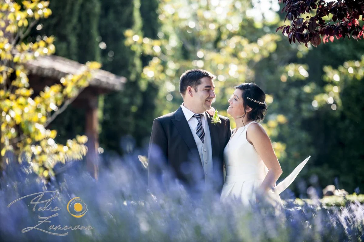 Pareja de novios retratada entre lavandas y vegetación con luz de tarde.