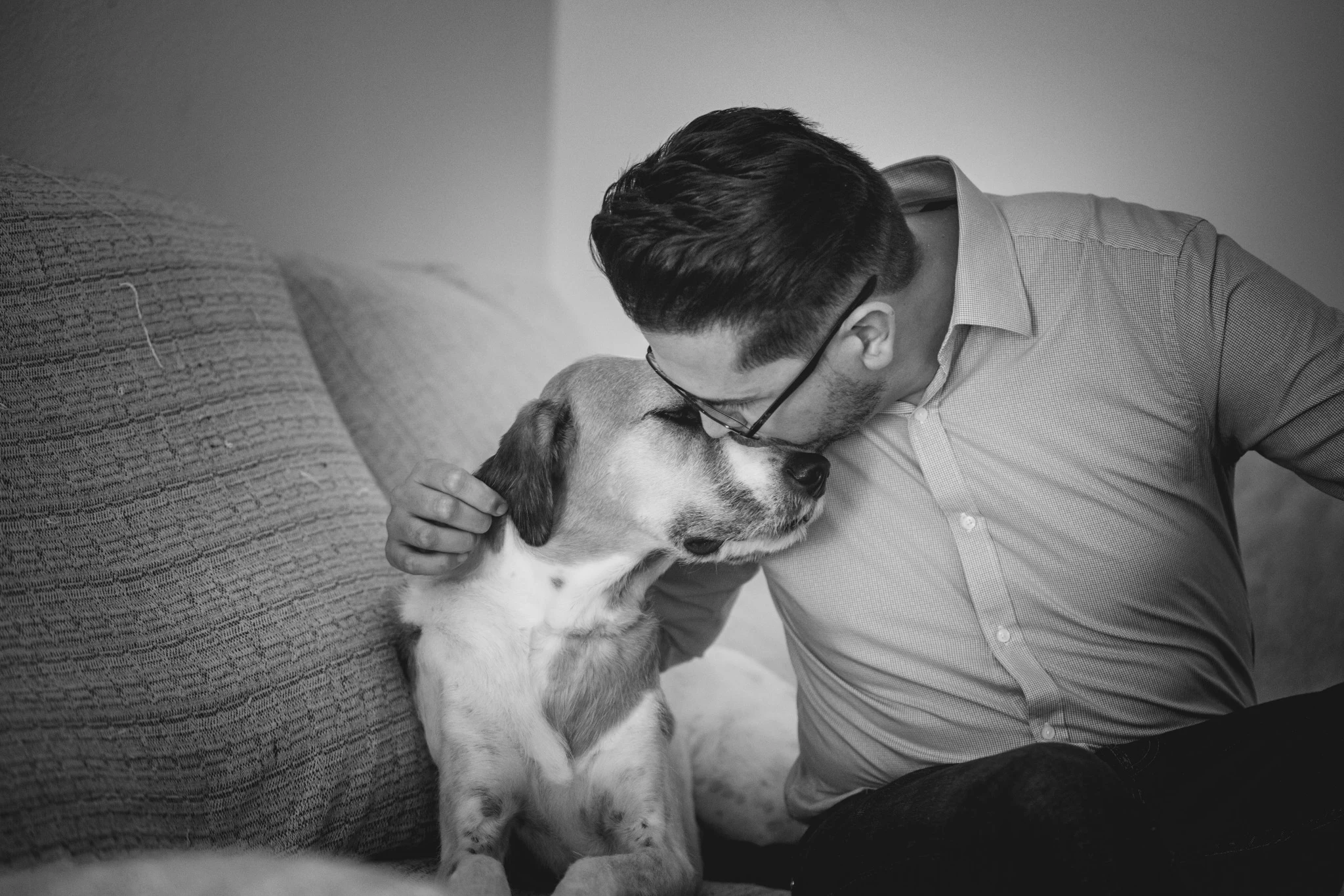 Novio con su perro antes de la boda Novio acariciando y besando a su perro durante los preparativos de boda.