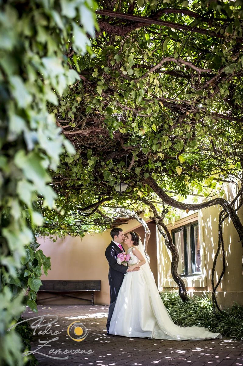 Novios bajo la vegetación de los jardines de Finca La Alquería