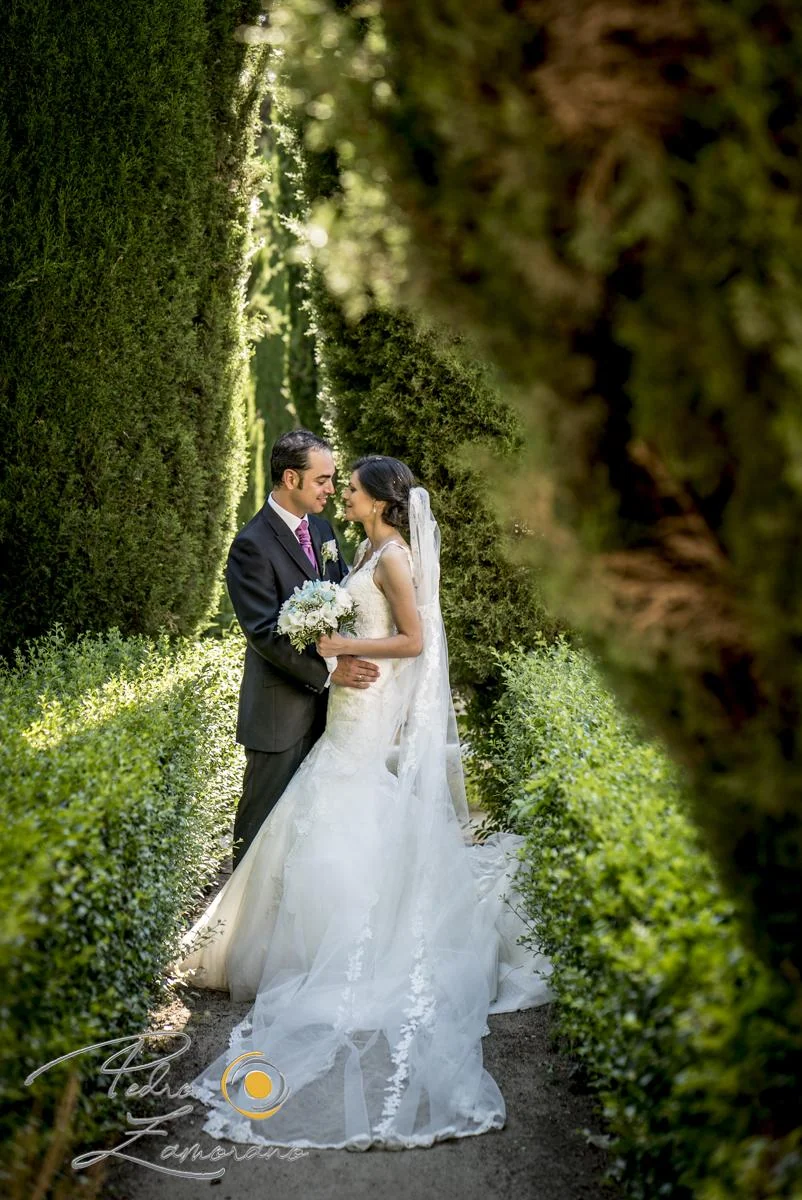 Novios entre setos en los jardines de Finca La Alquería
