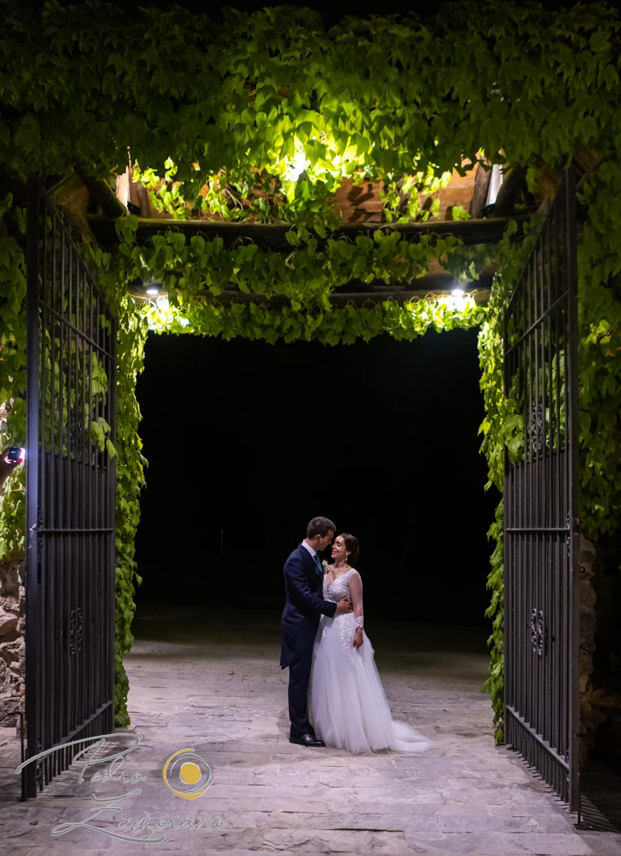 Retrato nocturno de una pareja bajo una entrada cubierta de vegetación en Hacienda Jacaranda.