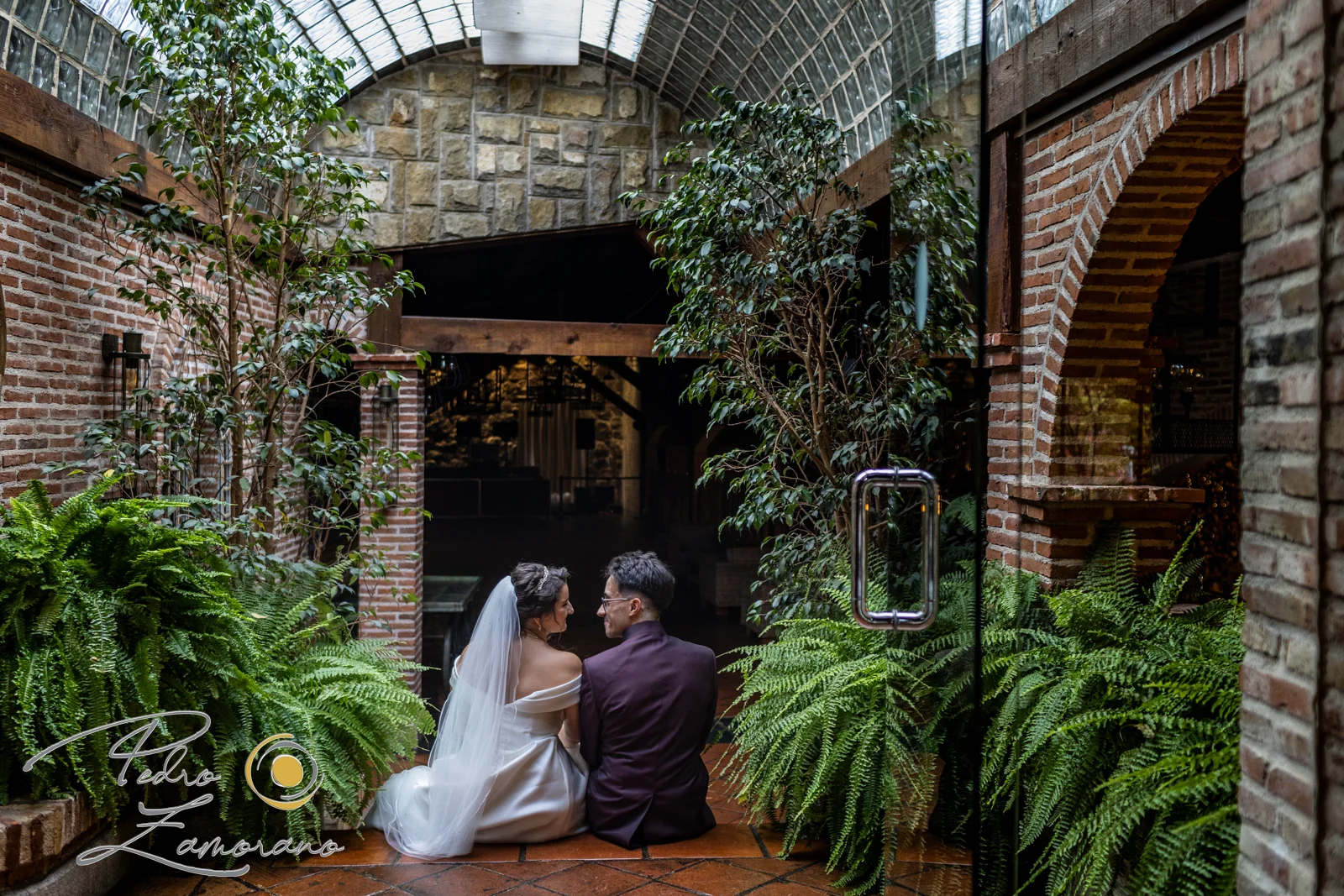 Novios sentados en un patio interior de ladrillo rodeado de helechos en Hacienda Jacaranda.