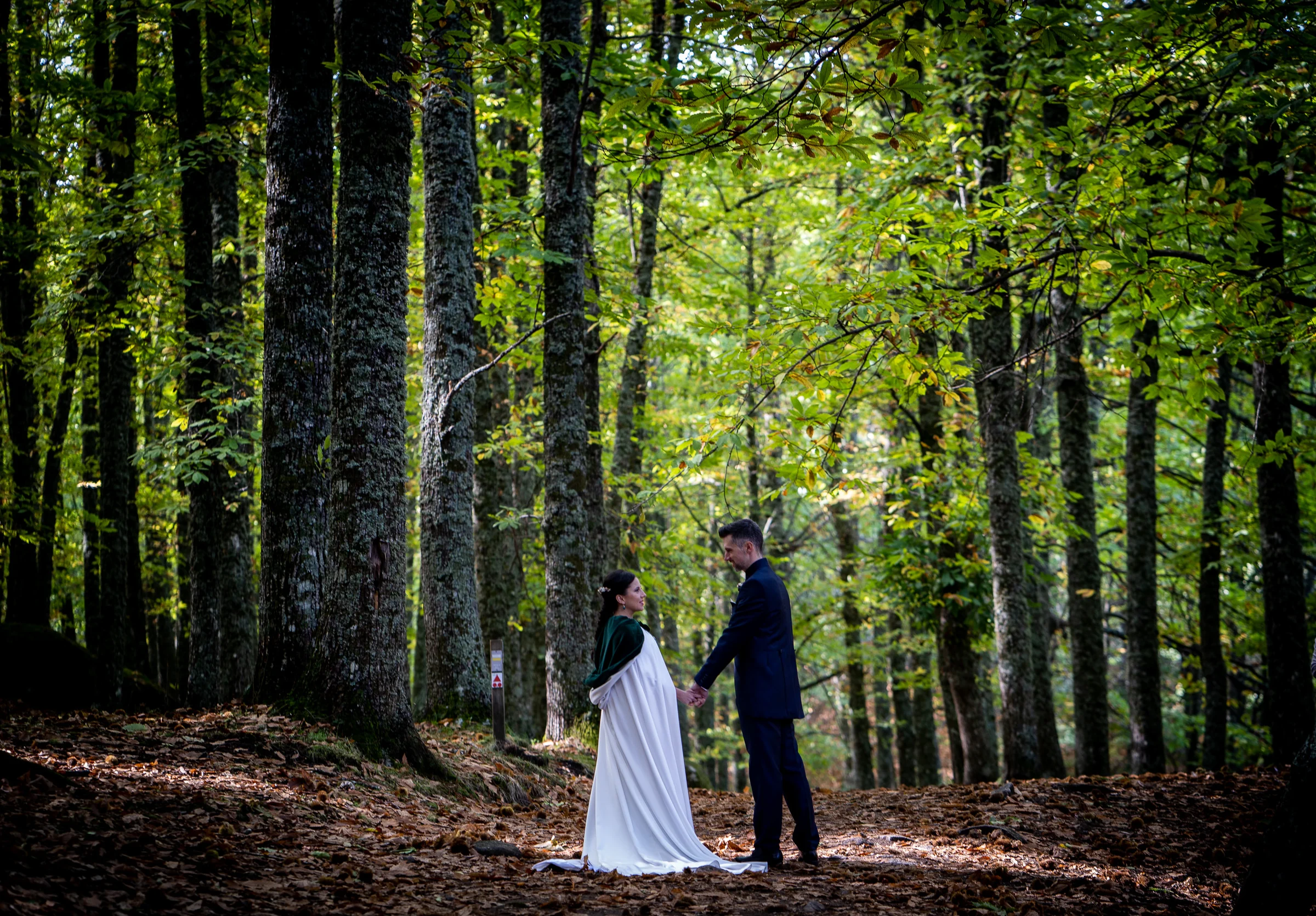 Idoya y Daniel caminan de la mano entre los castaños durante su sesión de postboda en El Tiemblo.