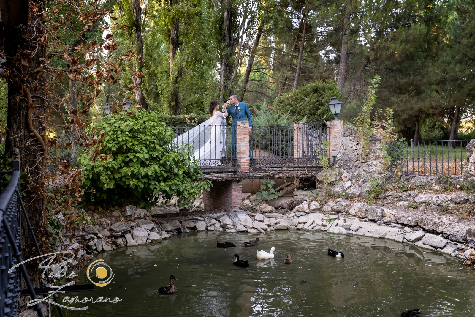 Novios sobre un pequeño puente de Jardín El Botero con el lago y varios patos en primer plano.