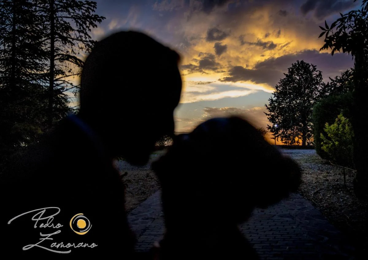 Silueta de una pareja besándose al atardecer entre los árboles de Jardín El Botero.