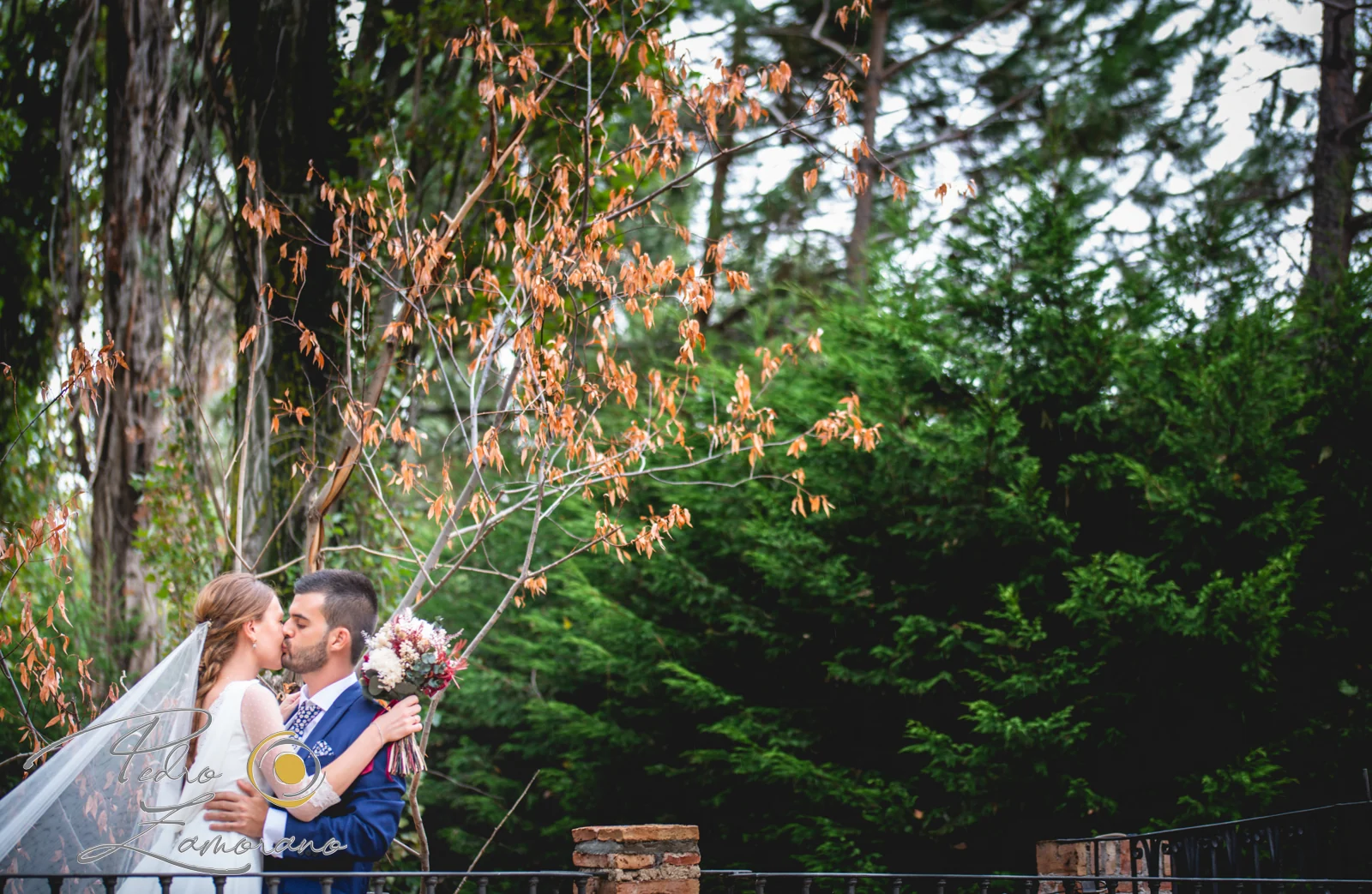 Novios besándose junto a un árbol de tonos otoñales en los jardines de Jardín El Botero.