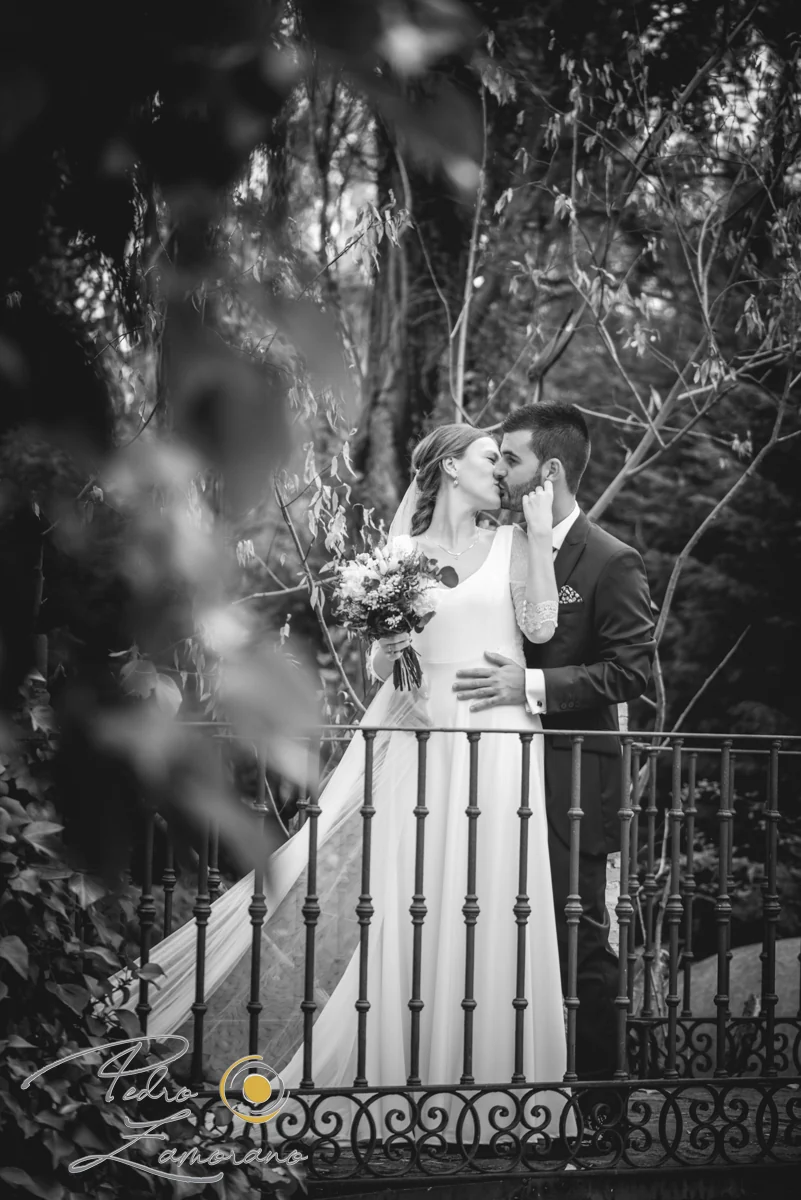 Novios besándose sobre un puente de hierro entre la vegetación de Jardín El Botero en blanco y negro.