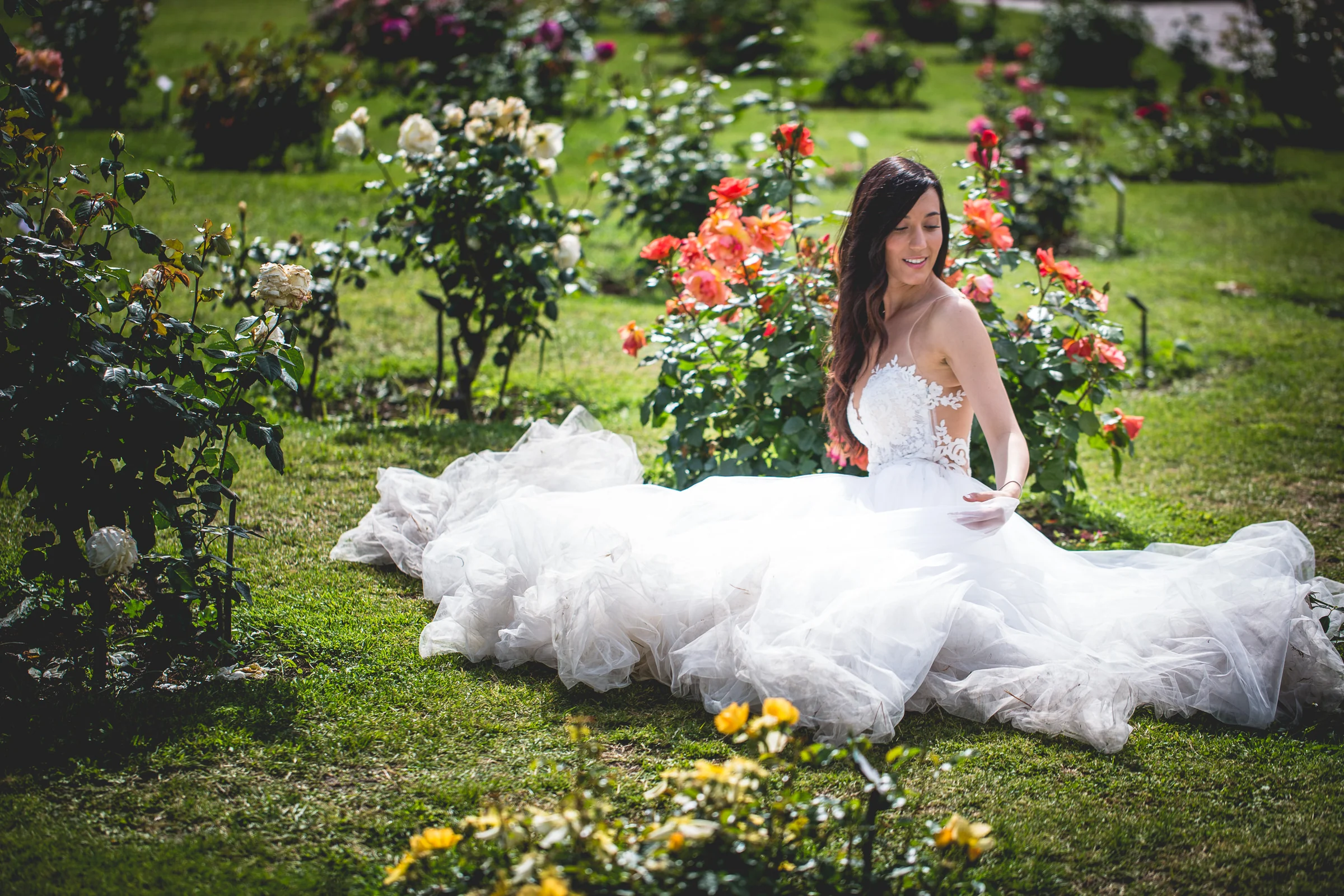 La novia sentada sobre el césped entre rosales durante la sesión durante una sesión postboda en Jardines y miradores de Roma.