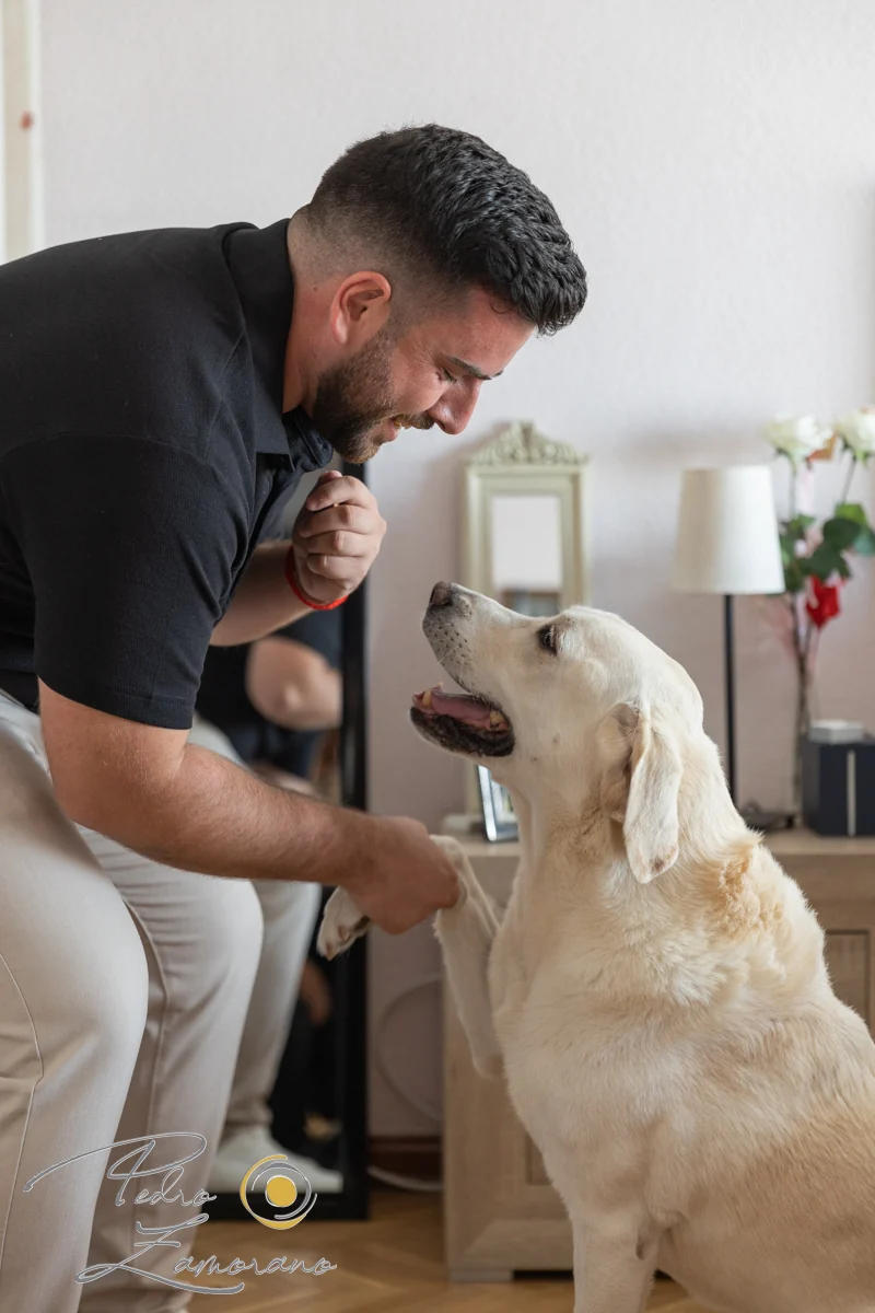 Novio con perro durante los preparativos | Complejo La Cigüeña Novio con perro durante los preparativos en una boda en Complejo La Cigüeña
