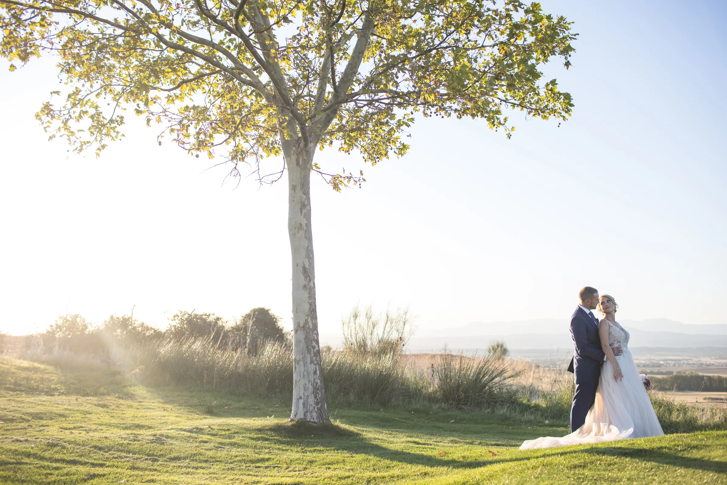 Los novios junto a un gran árbol con rayos de sol y el campo al fondo en Retamares Experience.