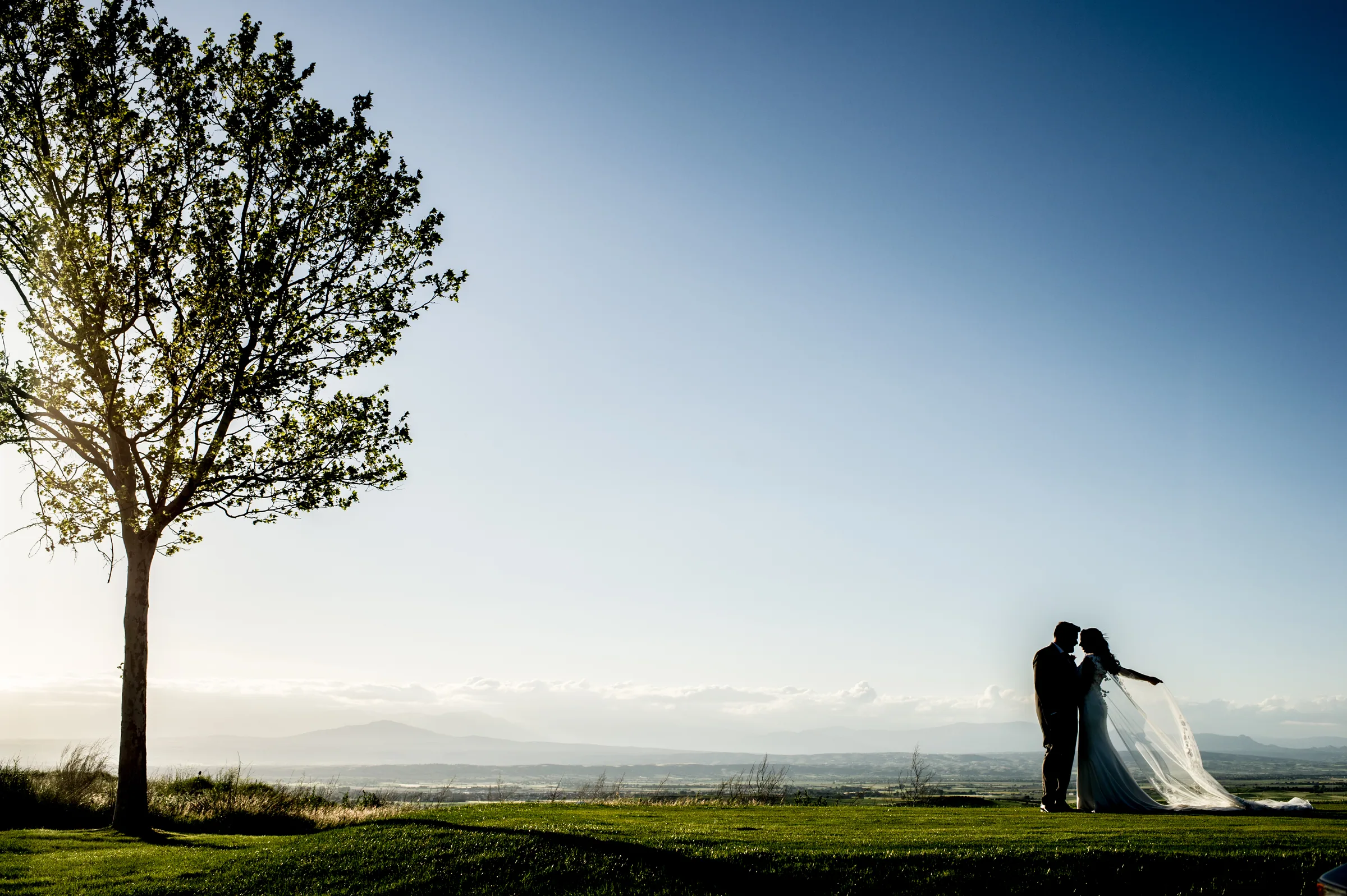 Los novios se besan bajo un árbol con cielo azul al atardecer en Retamares Experience.