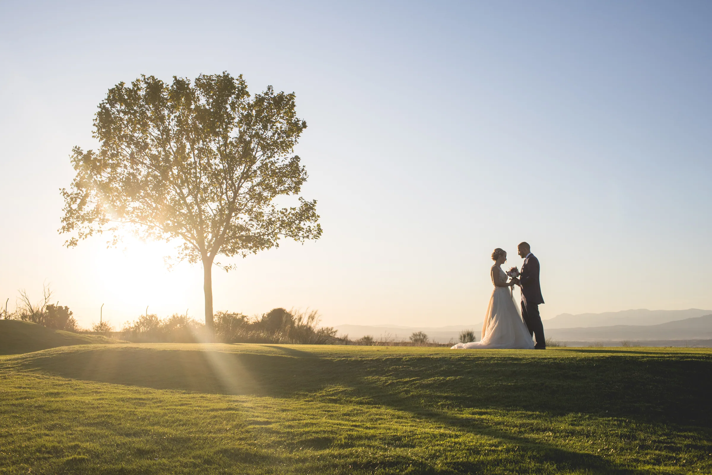Silueta de los novios junto a un árbol con rayos de sol en Retamares Experience.